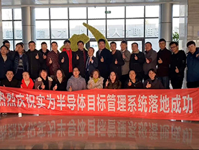实为半导体目标管理系统落地成功